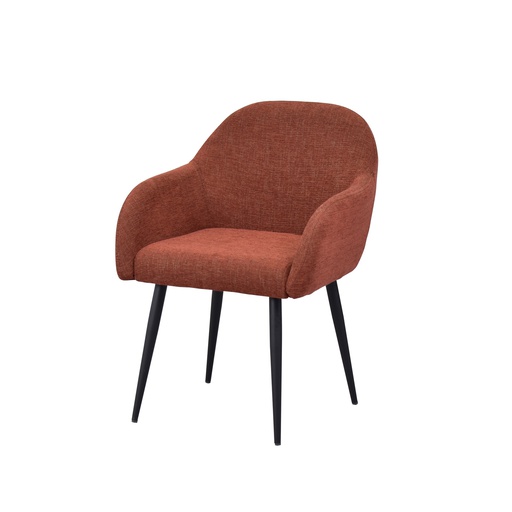 [55022] Rodeo Armchair - Rust-Brown
